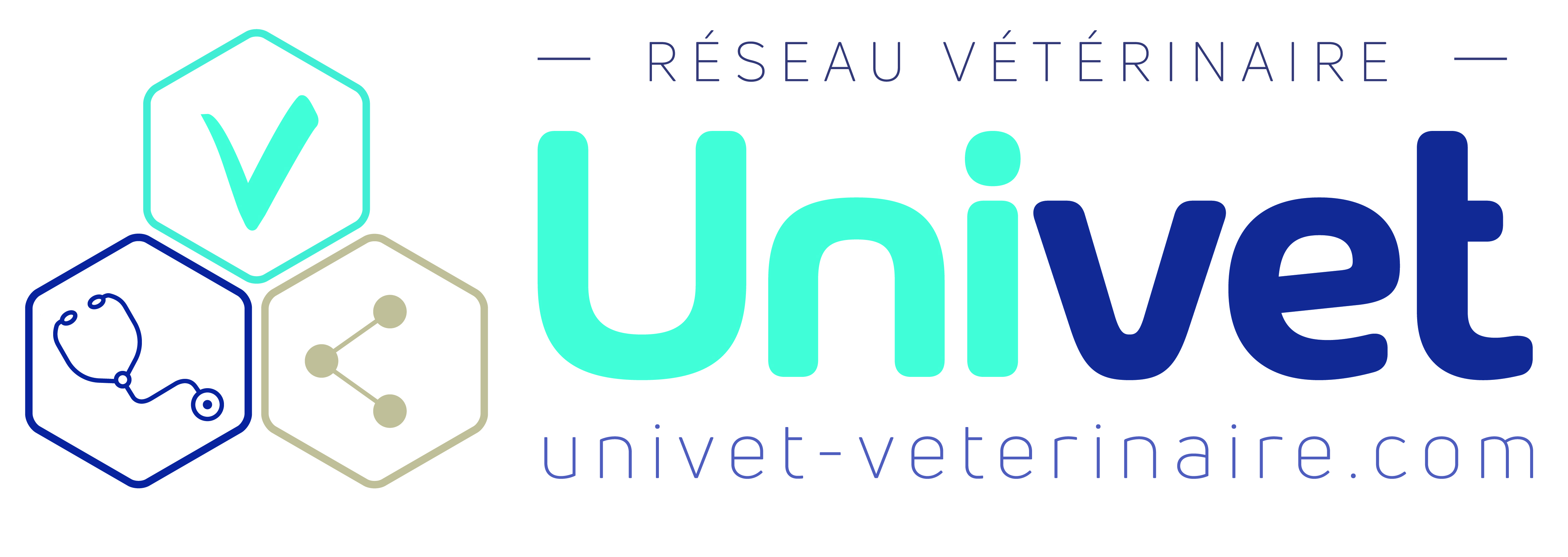 Replay Catalogue Des Formations Veterinaires Wizzvet